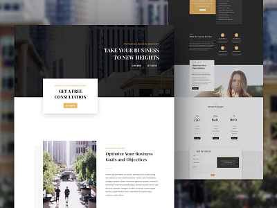 Consultant Website Template for Divi business consultant divi landing layout template website wordpress