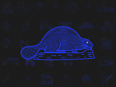 August 14, 1848 🇺🇸 beaver design icon icon artwork illustration instagram oregon