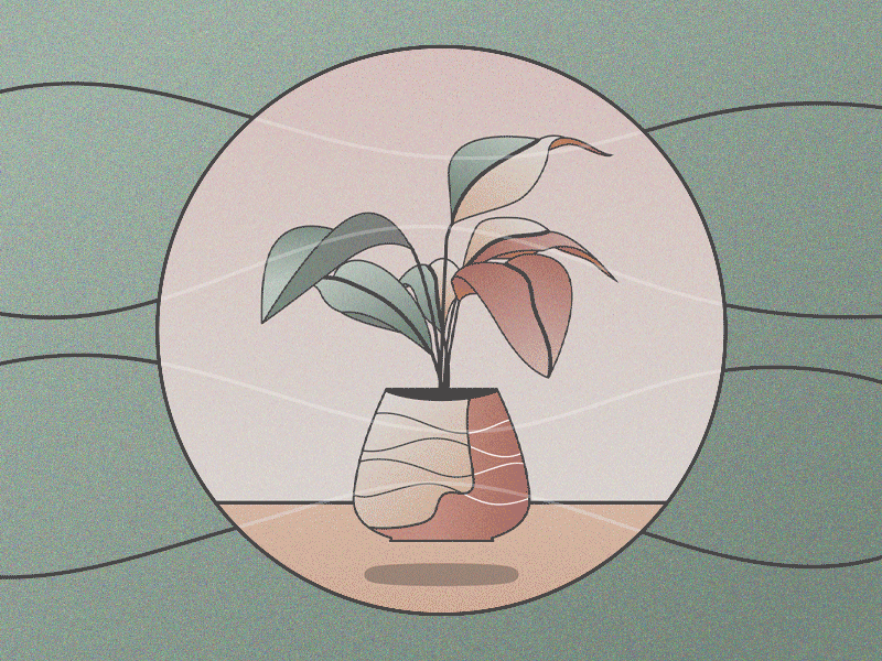 Houseplant | Animated GIF / Illustration aftereffect animation calm grain green houseplant illustration illustrator pink plant