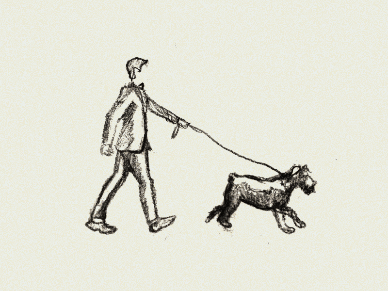 Image result for Dog Walking sketch