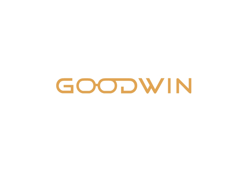 Goodwin logo animated branding logo motion onecolor