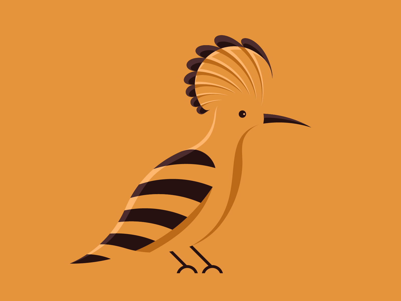 Hoopoe by Winston Tabar on Dribbble