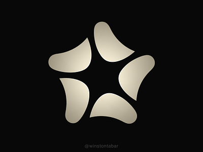 Starry abstract branding clean design geometric illustration logo logomark minimal ui