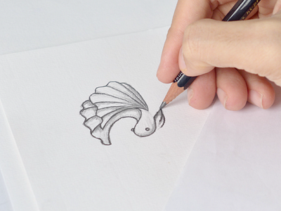 Betta fish sketch abstract betta fish fish geometric illustration logo logomark minimal minimalism modernism sketch sketching