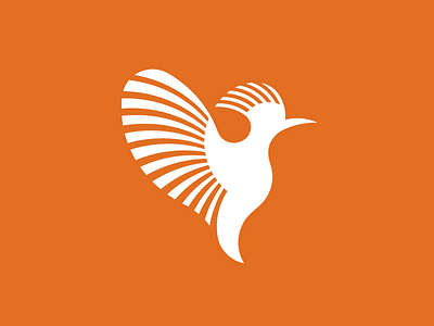 Hoopoe by Winston Tabar on Dribbble