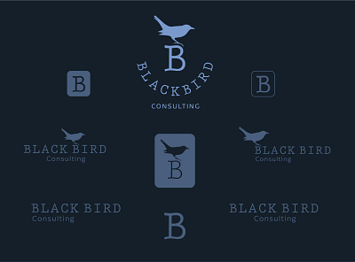 Black Bird Consulting Logo Identity brand branding clean design graphic design icon identity logo logo design logodesign minimal