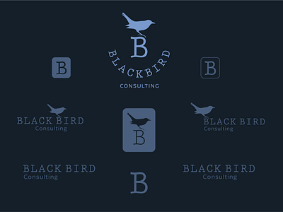 Black Bird Consulting Logo Identity