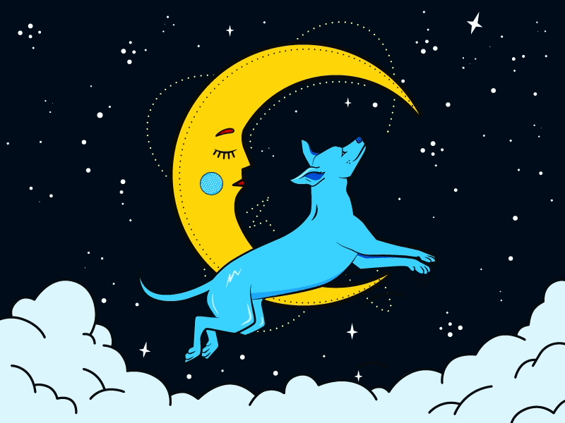 Luna animated animation gif illustration moon