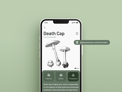 Mushroom Identification App Concept