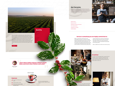 Components Selection 1 art direction coffee design screendesign tea ui ux web webdesign