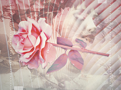 MANiKIN :: DRØPS barcode collage color drip flower leaves liquid manikin noise plant rose vibe