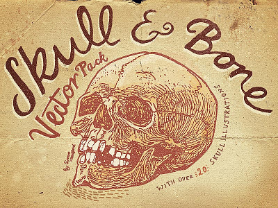 Skull And Bone Vector Pack bone crossbones halloween horror human skull illustration pack skull skulls vector