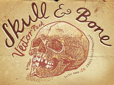 Skull And Bone Vector Pack