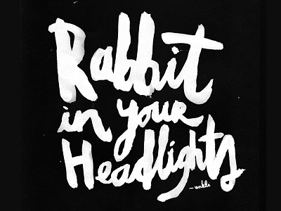 Rabbit In Your Headlights brush fonts lettering typeface typography watercolour