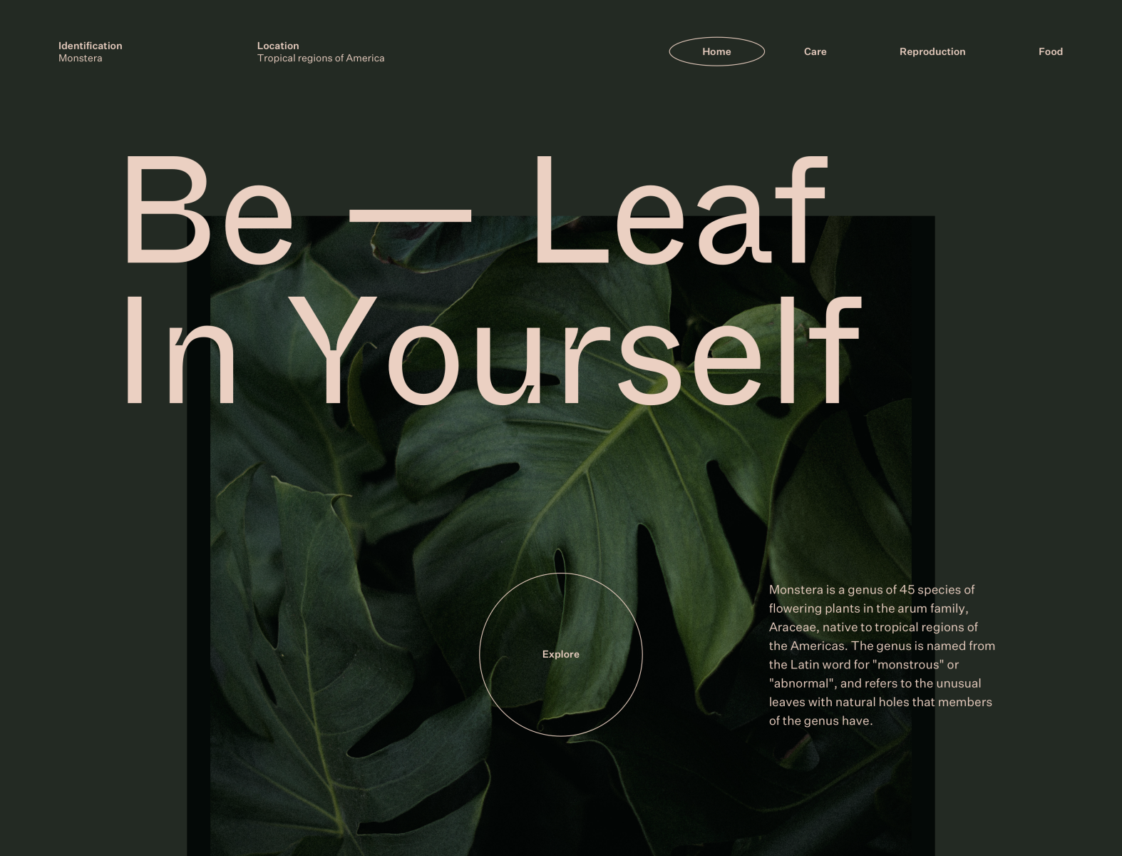 N° 01 Be-Leaf In Yourself by Pierre Borodin on Dribbble