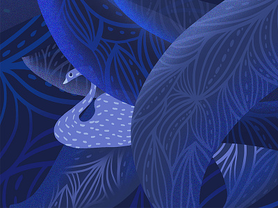 Blue Swan blue illustration swan