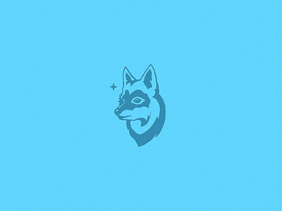 Blue Fox Media animal blue dog fox illustration logo media star wolf