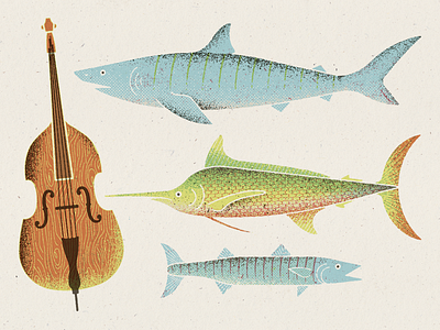 under the sea pt 4 avett bass fish illustration poster