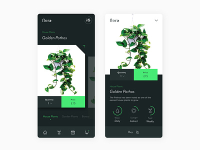 Flora Interface