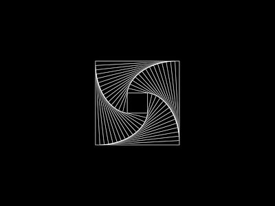 Experiment #4 animation generativedesign loop animation loops processing square