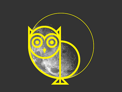 Owl and the Moon animal art artwork bird design geometric geometry graphic design illustration moon night owl