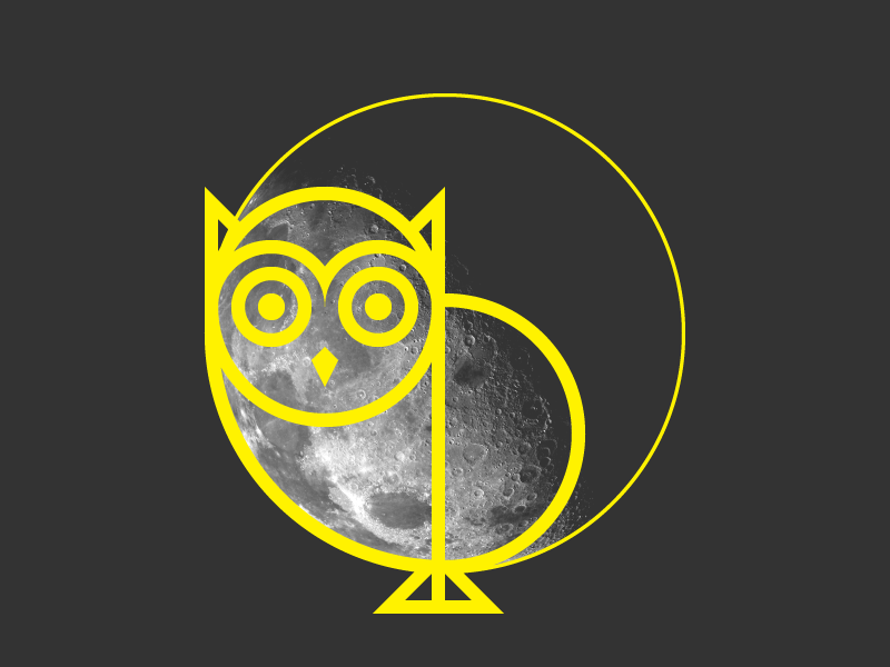 Owl and the moon