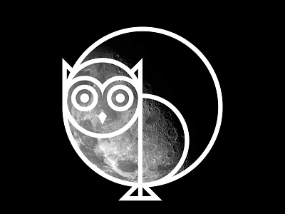 Owl and the Moon animal animals art artwork bird birds circles design digital art geometric geometry graphic graphic art graphic design illustration illustrator moon owl owls shapes
