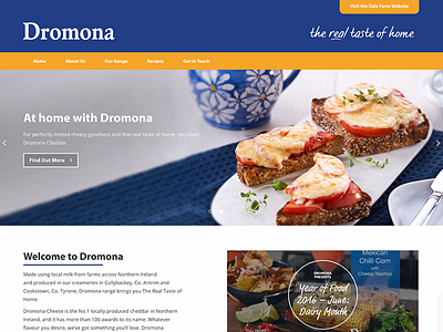 Dromona blue cheese dairy web design website yellow