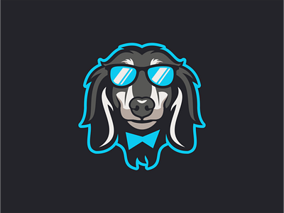 Cool Dog Logo animal bowtie branding cool design dog face flat illustration logo mark pet portrait sale sunglasses vector vet veterinarian