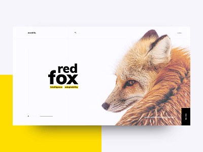 Home Screen animal black fox homepage minimal screen ux ui yellow