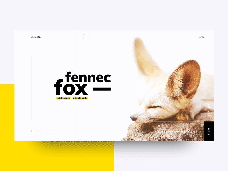 Home Screen animal animation black minimal ui ux white yellow