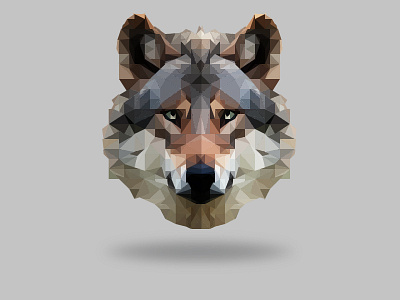 My first Low Poly :) lowpoly design wolf triangle