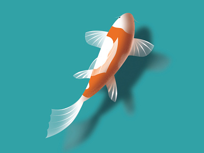 water is my when there is a beautiful fish... adobe adobe illustrator design designer flat flat design flat illustration flatdesign graphic graphic design graphicdesign