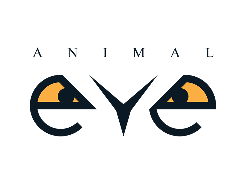 Animal Eye by forc. studio on Dribbble