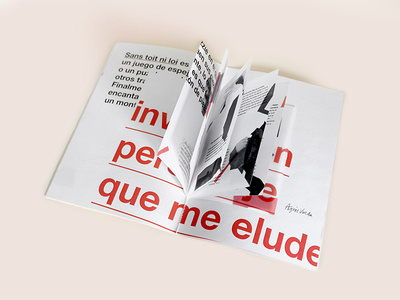 Sans Toit Ni Loi: Pressbook (insert)