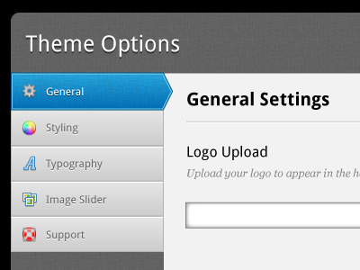 Theme Options Ui