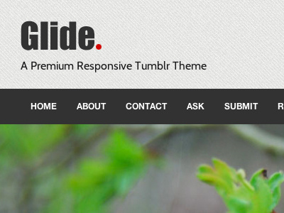 Glide Responsive Tumblr Theme