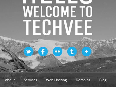 Techvee: Social Links