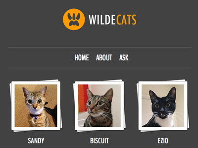 Wildecats Tumblr Blog blog cat cats grey kitten orange polaroid responsive theme tumblr wilde
