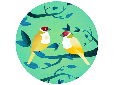 Love Birds australian birds birds finches flat design illustration love love birds parrots romance texture vector