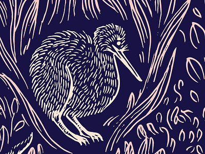 Kiwi bird in the nite time