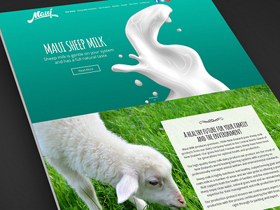 Maui Sheep Milk Website Design milk new zealand production sheep ui ux web design web design agency web design company website website design