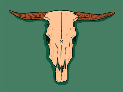 Taurus animal skull astrology digital art illustration procreate skull taurus zodiac