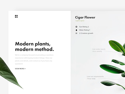 Ohh plants. clean minimal modern plants simple