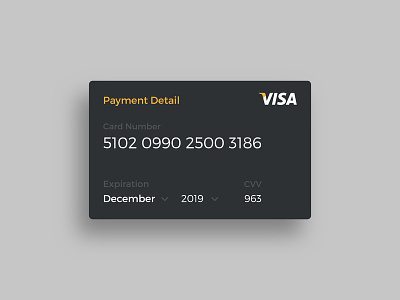 Payment Detail businesscard card carddetails clean design illustrator payment visa