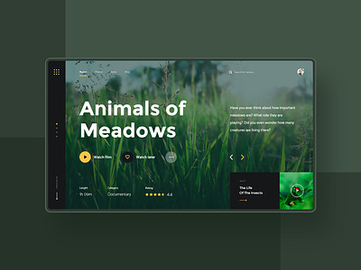#4.4 Photo & Design animal animals bug design documentary film grass green homepage insect meadow nature photo photography ui ux video website wild wildness