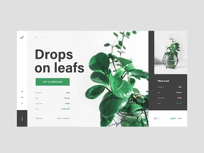 #6.1 Photo & Design buy design flat flower green homepage minimalism nature photo photograhy photographer plant plants portfolio pot sell slider ui ux website