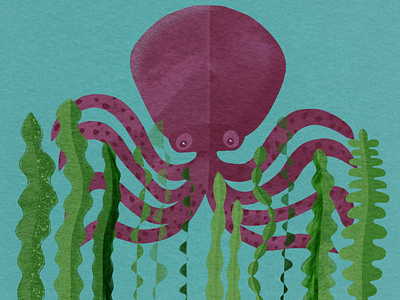 Octopus and Seaweeds octopus seaweed