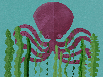 Octopus and Seaweeds octopus seaweed