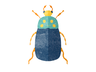Beetle beetle